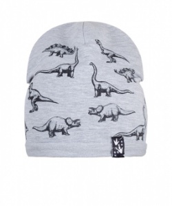 Шапка мал. арт.F-431 р.46-48, 50-52 (ЧЗ)