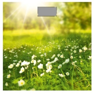 Весы напольные Добрыня DO-3006G Поляна