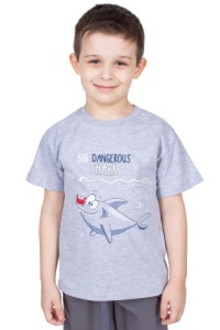 Джемпер мал. (футболка) н3069 р.32/122  (ЧЗ)