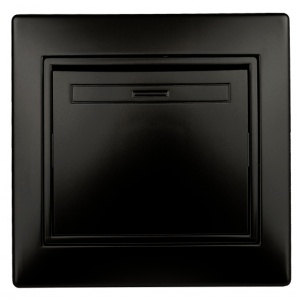 Выключатель Intro с/п 1кл 10А антрацит 1-101-05