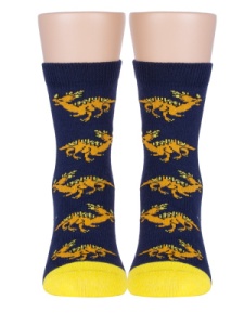 Носки детские мал. х/б+эл КВ с1786 1/30 р.16-18 (ЧЗ)