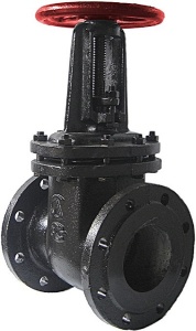 Задвижка чугунная 50мм 31ч6бр