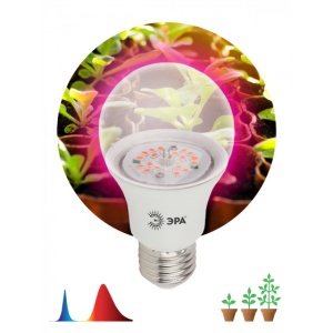 Лампа Эра Фито 12W-RB-E27-K д/растений