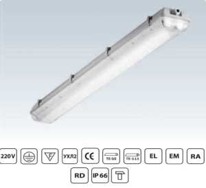 Светильник ТLWP236 PS   2х36 герметич.