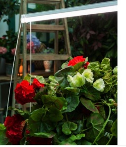 Светильник ULI-P11-24W/SPFR д/растений 872мм, д/фотосинтеза