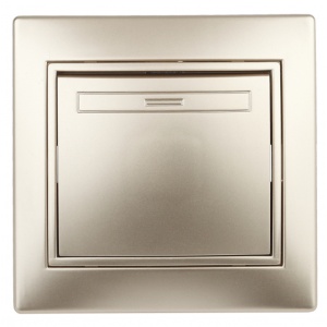 Выключатель Intro с/п 1кл 10А шампань 1-101-04 