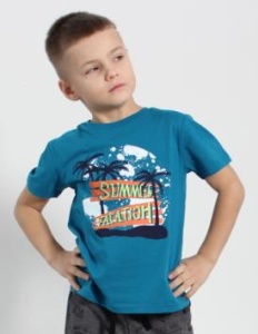 Футболка мал. 11201 рост 116 (ЧЗ)