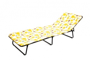 Раскладушка взрослая Стефания мягкая С 86а матрац 10мм