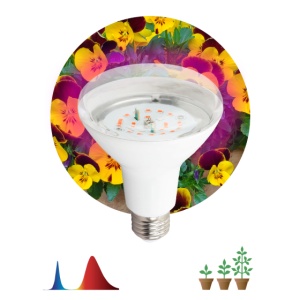 Лампа Эра Фито 16W-RB-E27-K д/растений