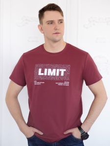 Джемпер муж. (футболка) 658-23 р.50/176 (ЧЗ)