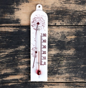 Термометр комнатный сувенирный Модерн 0+50 упаковка картон