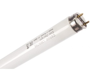 Лампа люмин L36W/765 Osram по25