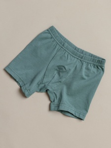 Трусы мал. боксеры 040_НБО24 рост 122 (ЧЗ)