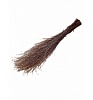 Метла березовая